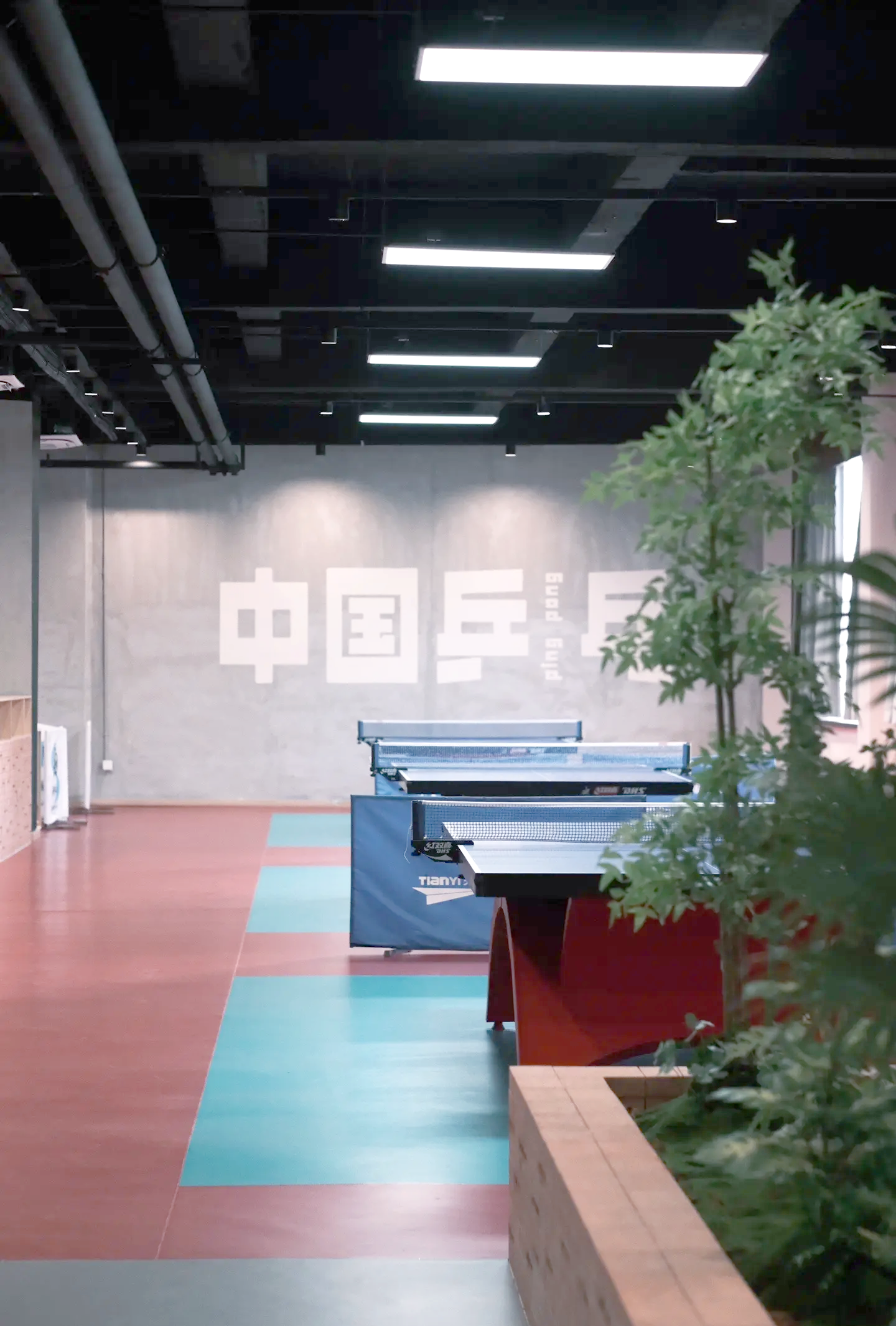 九游app下载中心-包含特色青训营地获多项国家专利，行业创新能力持续增强的词条