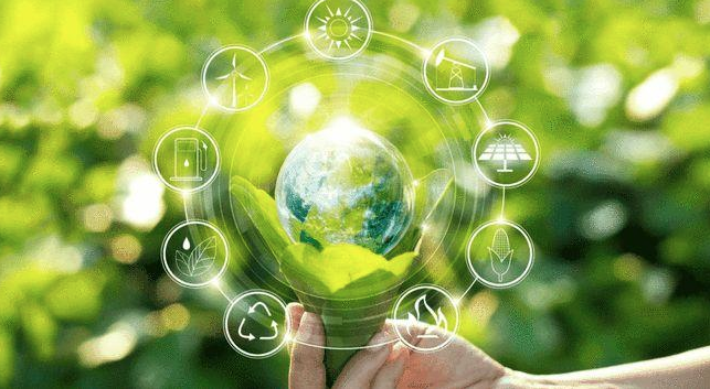 Jiu You-关于特色青训基地“绿色+智慧”同步建设，行业绿色转型提速的信息