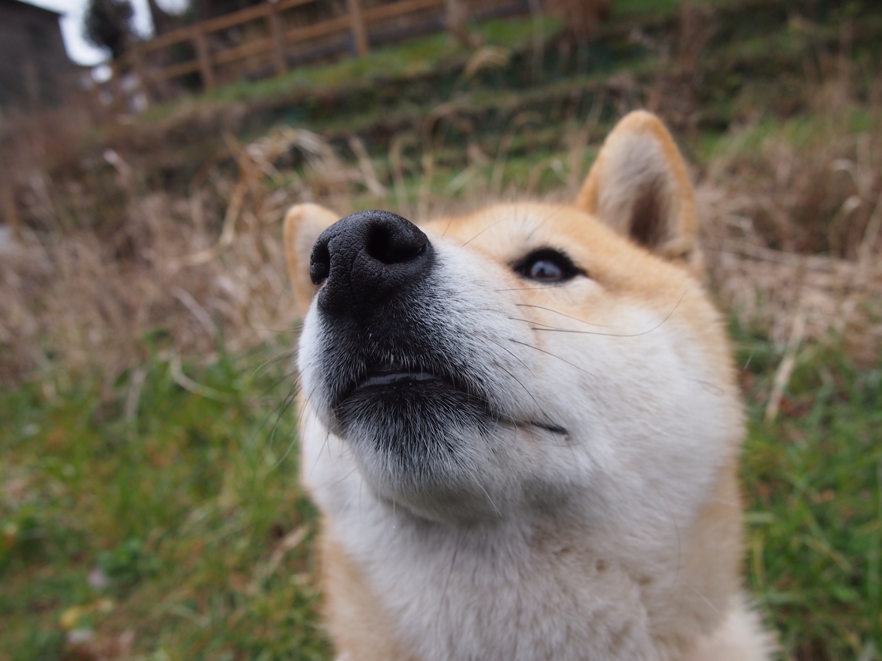 历史上的第一人：首次夺冠的瞬间，第一位冠军