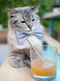 Urawa Red Diamonds力克对手晋级半决赛,力克好用么