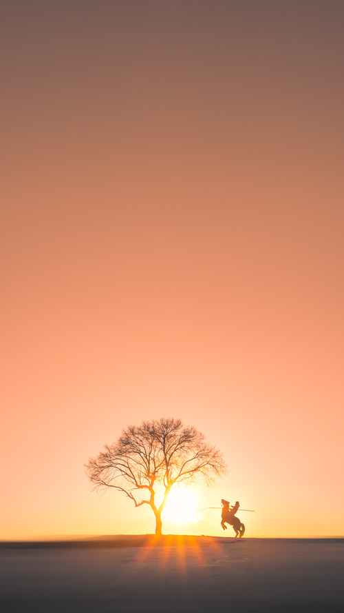 JIU YOU GAME-多国球队在赛场上一决高下，带来精彩瞬间