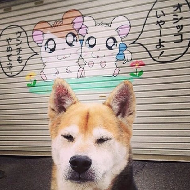 瓦伦西亚客场胜巴塞罗那,大逆转胜利,瓦伦西亚对巴萨集锦