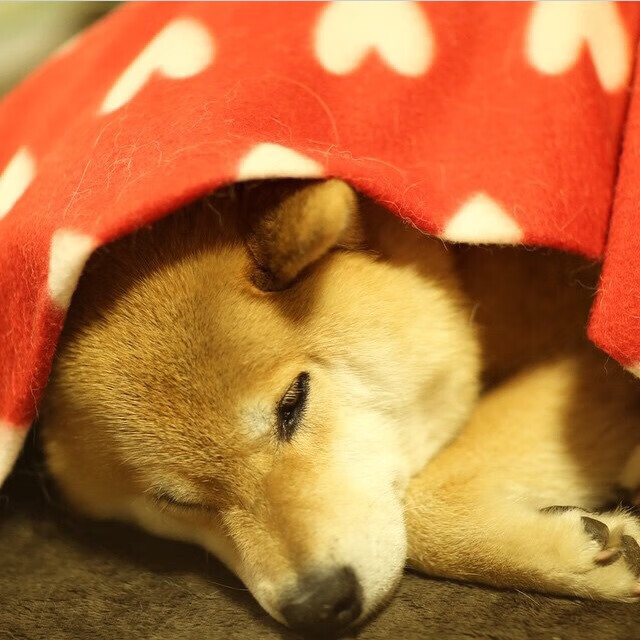 九游下载中心-西班牙小将突破数据领跑全队，西班牙小将突破数据领跑全队的是谁