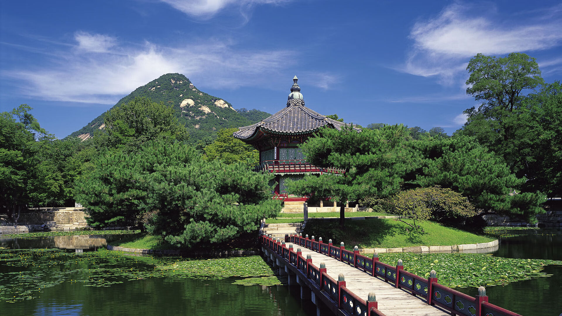 NBA赛季盖帽王数据解读,nba盖帽王次数排名