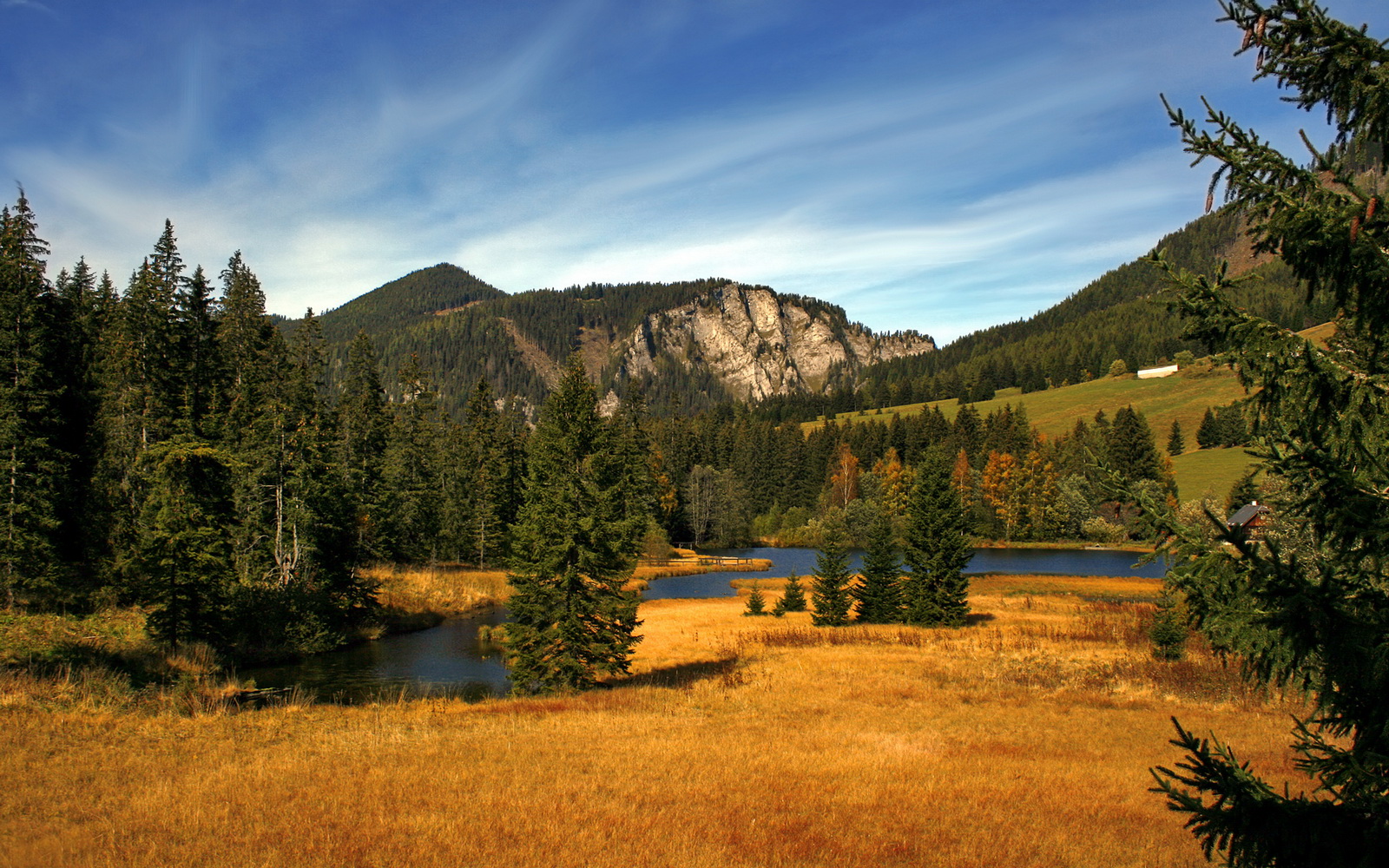 两前腰角色分工拉开防线宽度，双前腰战术