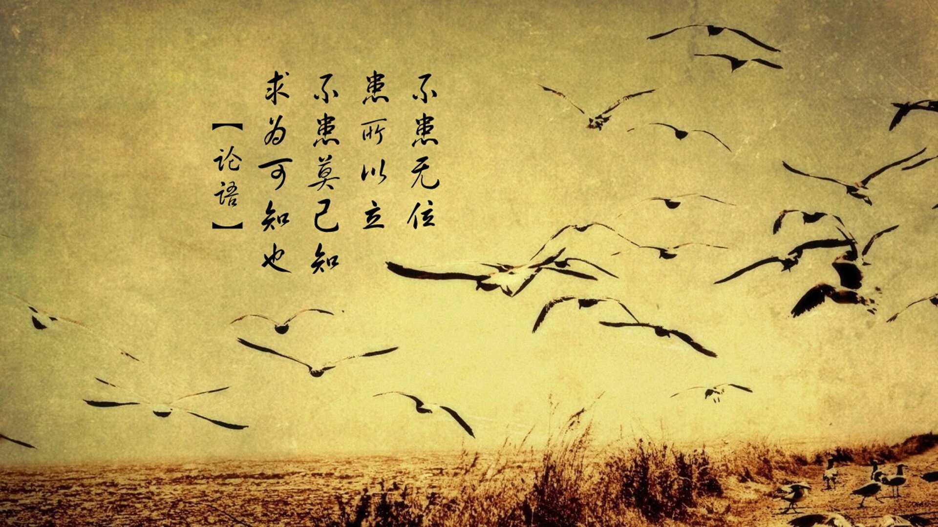 九游APP官网-波兰队未来发展计划：提升青少年选手的国际竞争力，波兰队实力如何