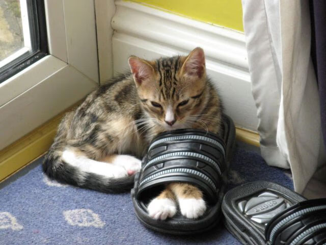 地方球队开展训练营送教下乡活动普及专业篮球知识，篮球培训招生活动