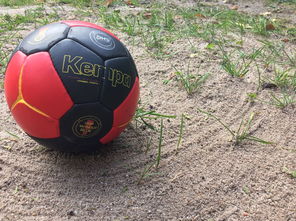 九游电脑版-安提瓜和巴布达在中美洲锦标赛中夺冠，体育实力不断崛起