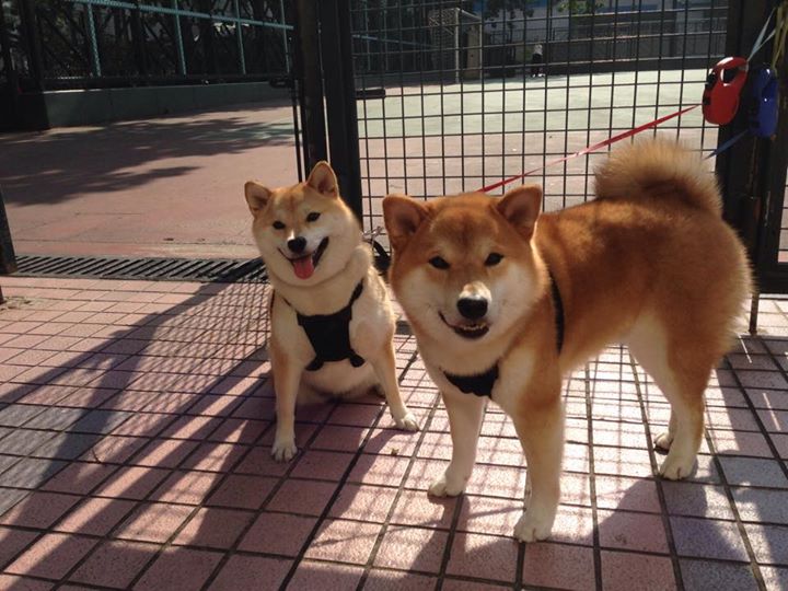 九游娱乐官网 (jiuyou)-李冰洁挑战世界强敌展现中国速度，李冰洁比赛