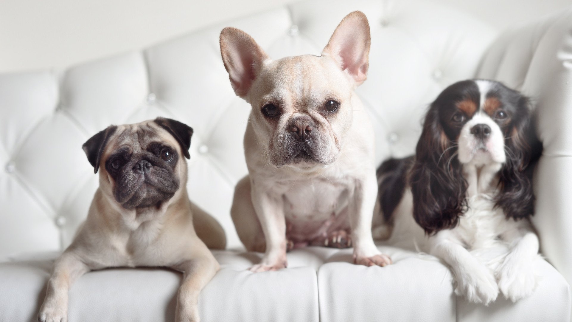 詹姆斯晒训练照称年龄不是问题,詹姆斯训练肌肉照